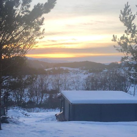Highland Cabin - Relaxing Hot Tub 因弗内斯 外观 照片
